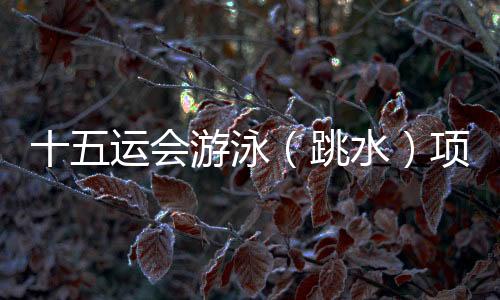 十五运会游泳（跳水）项目门票将于25日面向公众销售