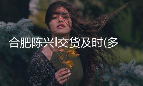 山西龙城科密(图)、科密***锁***、太原***锁