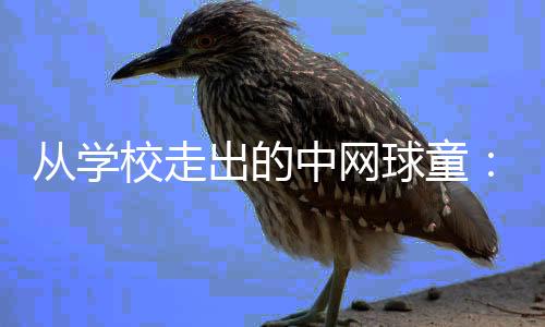 从走出的中网球童：赛场小身影有网球大梦想