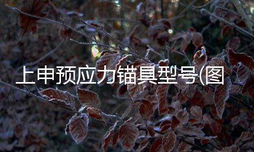 昭通预应力钢绞线价格