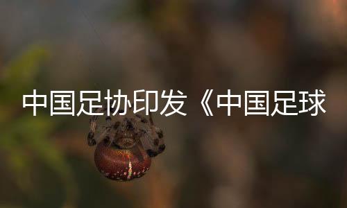 中国足协印发《中国足球协会诚信专员管理办法(试行)》