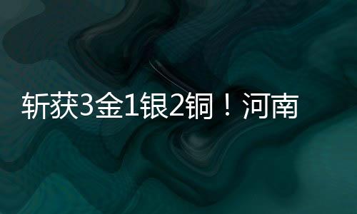 斩获3金1银2铜!河南选手出彩2025年全国跆拳道冠军总决赛