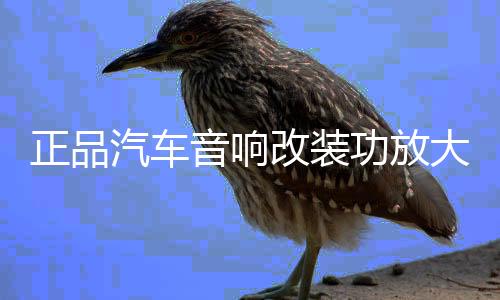 正品汽车音响改装功放大功率4路车载功放 HIFI音质四声道放大器