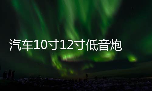 汽车10寸12寸低音炮空箱体无源低音炮箱体车载音响空箱体喇叭木箱