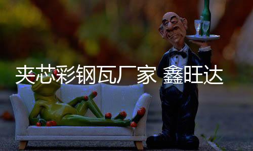 夹芯彩钢瓦厂家 鑫旺达 净化彩钢瓦型号