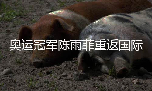 奥运冠军陈雨菲重返国际赛场:很开心能重新为国而战