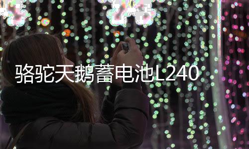 骆驼天鹅蓄电池L2400适配高尔夫迈腾明锐捷达力帆12V60AH汽车电瓶