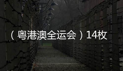 (粤港澳全运会)14枚金牌花落各家 全运会展中国跳水新风采