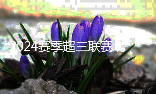 2024赛季超三联赛北京争霸赛落幕,无锡队夺冠